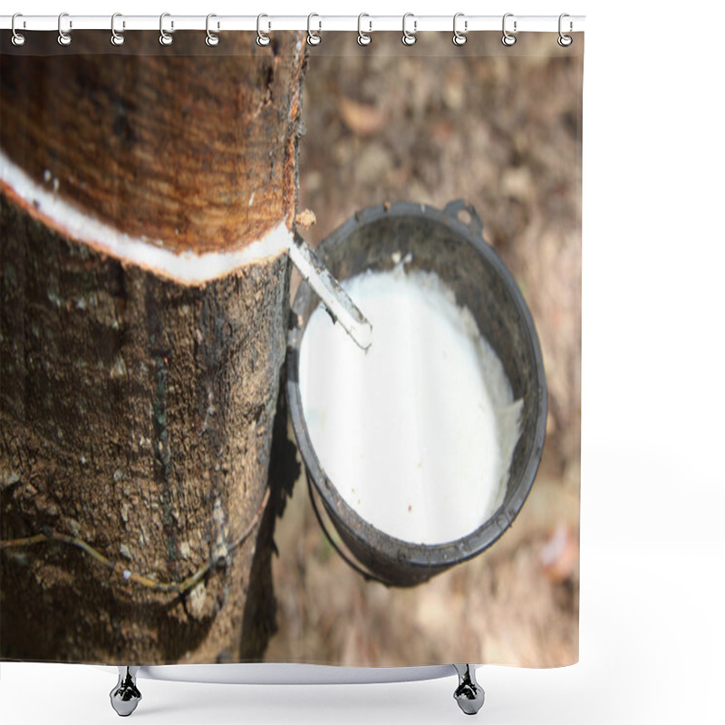 Personality  Milk of rubber tree flows into a wooden bowl shower curtains