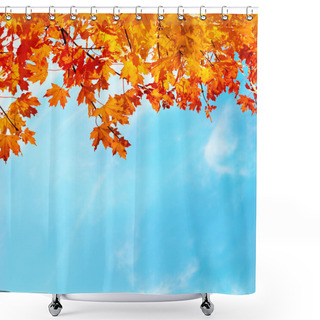 Personality  Autumn Leaves Shower Curtains