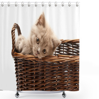 Personality  Beautiful Lilac Kitten In A Basket Shower Curtains