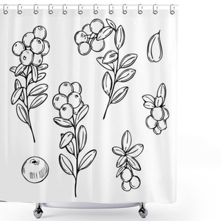 Personality  Hand Drawn Forest Berry. Lingonberry. Cowberry. Vector Sketch Illustration Shower Curtains