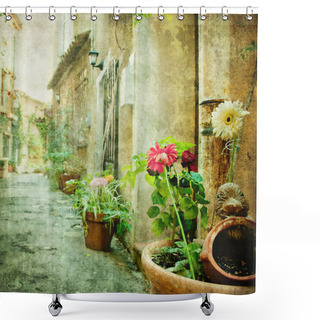 Personality  Charming Courtyards, Retro Styled Picture Shower Curtains