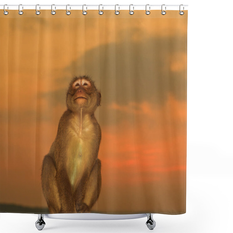 Personality  Cute Monkey Against Sunset Sky Shower Curtains