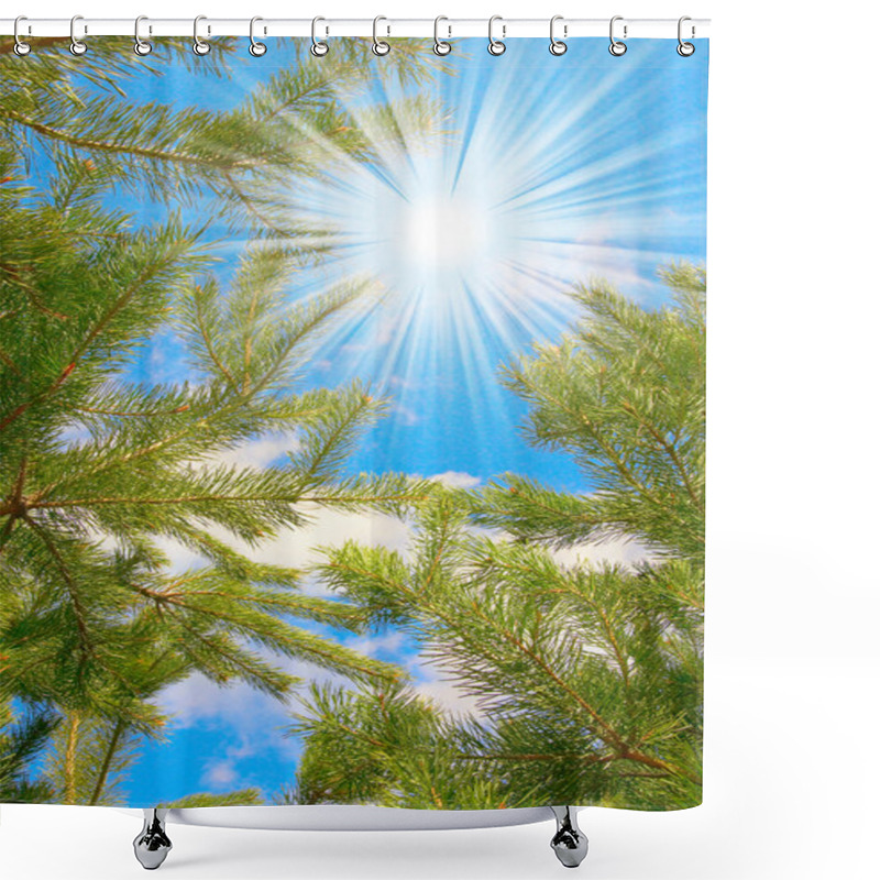 Personality  Wonderful View Of Sun And Pine Branche Shower Curtains
