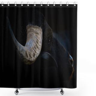 Personality  Head Of A Water Buffalo Shower Curtains