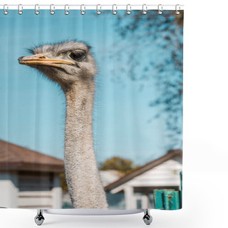 Personality  Selective Focus Of Beautiful Ostrich Standing At Farm  Shower Curtains