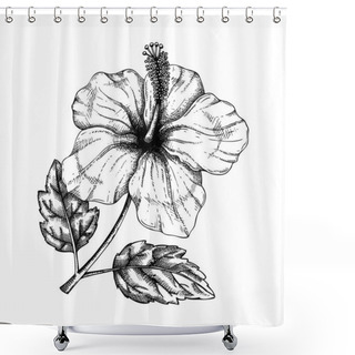 Personality  Hibiscus Flower With Leaves Botanical Illustration. Hand Drawn T Shower Curtains