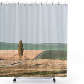 Personality  Horizontal Image Of Green Tree In Field Against Sky With Clouds Shower Curtains