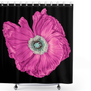 Personality  Surrealistic Pink Silk Poppy Blossom Macro Isolated,black Background Shower Curtains