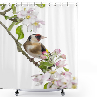 Personality  European Goldfinch, Carduelis Carduelis, Perched On A Flowering Shower Curtains