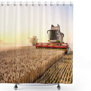 Personality  Combine Harvester Harvests Ripe Wheat. Ripe Ears Of Gold Field On The Sunset Cloudy Orange Sky Background. . Concept Of A Rich Harvest. Shower Curtains