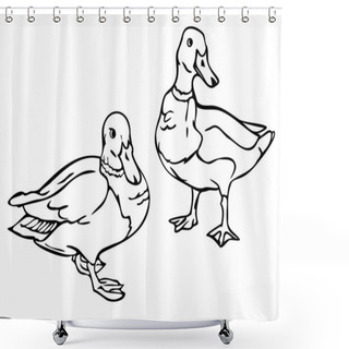 Personality  Vector Illustration With Outlines Of Ducks. Two Black And White Wild Ducks. Shower Curtains
