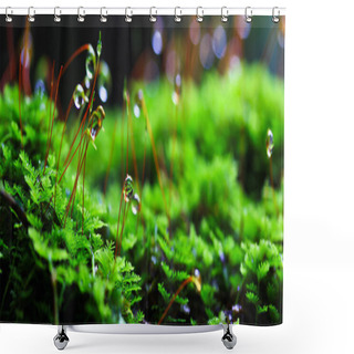 Personality  Leaves Moss Shower Curtains
