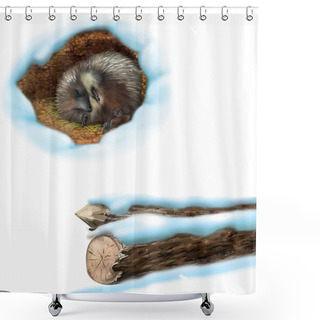 Personality  Hedgehog And Tree Logs Shower Curtains