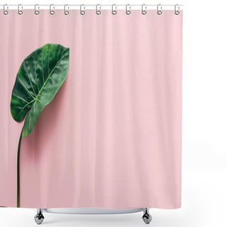 Personality  Flat Lay With Green Beautiful Palm Leaf On Pink, Minimalistic Concept  Shower Curtains