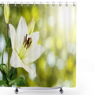 Personality  Beautiful White Lily  Shower Curtains