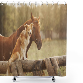 Personality  Red Border Collie Dog And Horse Shower Curtains