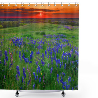 Personality  Texas Pasture Filled With Bluebonnets At Sunset Shower Curtains