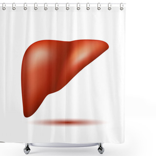 Personality  Semi-realistic Vector Human Liver Shower Curtains