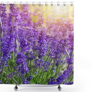 Personality  Garden Lavender Flowers Shower Curtains