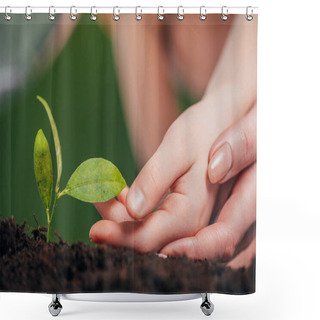 Personality  Selective Focus Of Woman And Kid Hands Near Young Green Plant Growing In Ground On Blurred Background, Earth Day Concept Shower Curtains