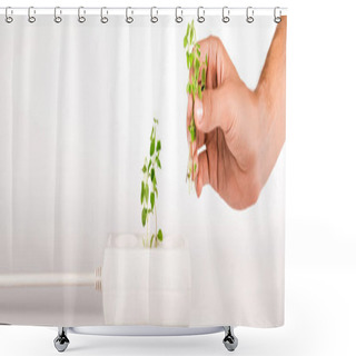 Personality  Cropped View Of Man Holding Green Plant Near Socket In Power Extender On White Background, Panoramic Shot Shower Curtains