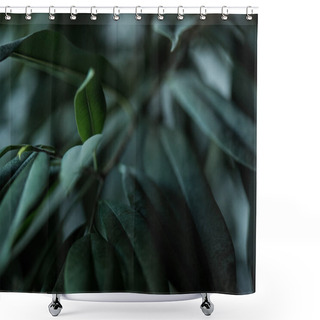 Personality  Close Up View Of Plant With Long Green Leaves Backdrop Shower Curtains
