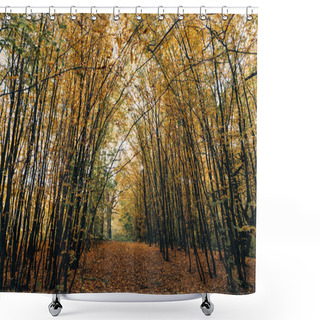 Personality  Pathway With Golden Fallen Leaves In Autumn Forest  Shower Curtains