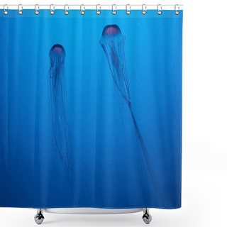 Personality  Japanese Sea Nettle Jellyfishes On Blue Background Shower Curtains