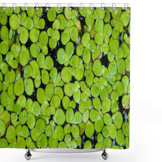 Personality  Natural Background Texture Of Green Leaf. Selective Focus Shower Curtains