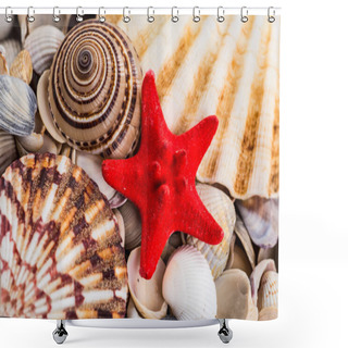Personality  Seashell Background, Lots Of Different Seashells Piled Together Shower Curtains