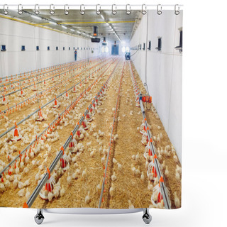 Personality  Big Indoors Modern Chicken Farm, Chicken Feeding. Shower Curtains