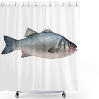 Personality  Seabass, Dicentrarchus Labrax Shower Curtains