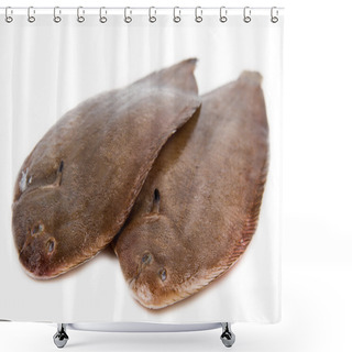 Personality  Whole Couple Fresh Sole Fish On White Background  Shower Curtains