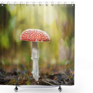 Personality  Mushroom - Toadstool In The Forest Shower Curtains