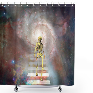 Personality  Skeletal Figure Walks To Paradise Shower Curtains