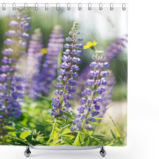 Personality  Wild Lupines Shower Curtains