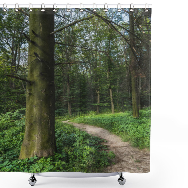 Personality  Dramatic Shot Rural Pathway Of Green Forest Shower Curtains