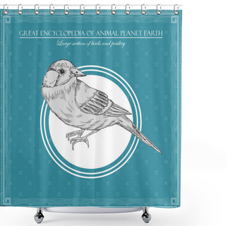 Personality  Great Encyclopedia Of Animal Planet Earth, Vintage Birds Illustration Shower Curtains