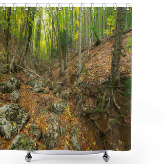 Personality  Autumn Forest Shower Curtains