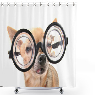 Personality  Cute Chihuahua With Giant Glasses On Shower Curtains