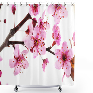 Personality  Flowering Branch Isolated On White Shower Curtains