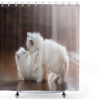 Personality   Ragdoll Blue Point Two Little Kittens Shower Curtains