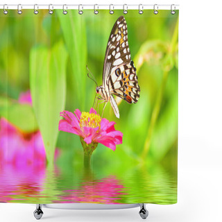 Personality  Butterfly On Flower Shower Curtains