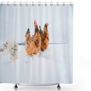 Personality  Beautiful Bright Chicken In Snow Shower Curtains