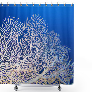 Personality  Coral Reef With Gorgonian On The Background Of Blue Water On The Bottom Of Tropical Sea, Underwater Landscape Shower Curtains
