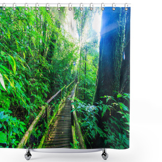 Personality  Passage In The Primeval Forest Shower Curtains