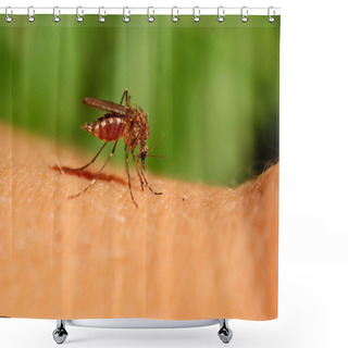 Personality  Mosquito Shower Curtains