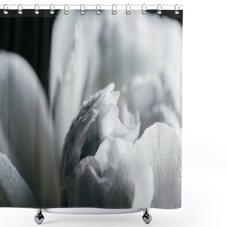 Personality  Close Up View Of Blue And White Peony With Drops Isolated On Black Shower Curtains