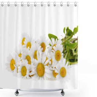 Personality  Closeup Shot Of Wild Camomiles Over White Background Shower Curtains
