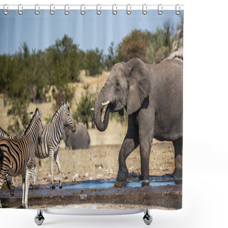 Personality  Animals Roaming In Etosha National Park Shower Curtains